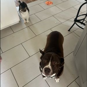 Meet your Posher, Ella